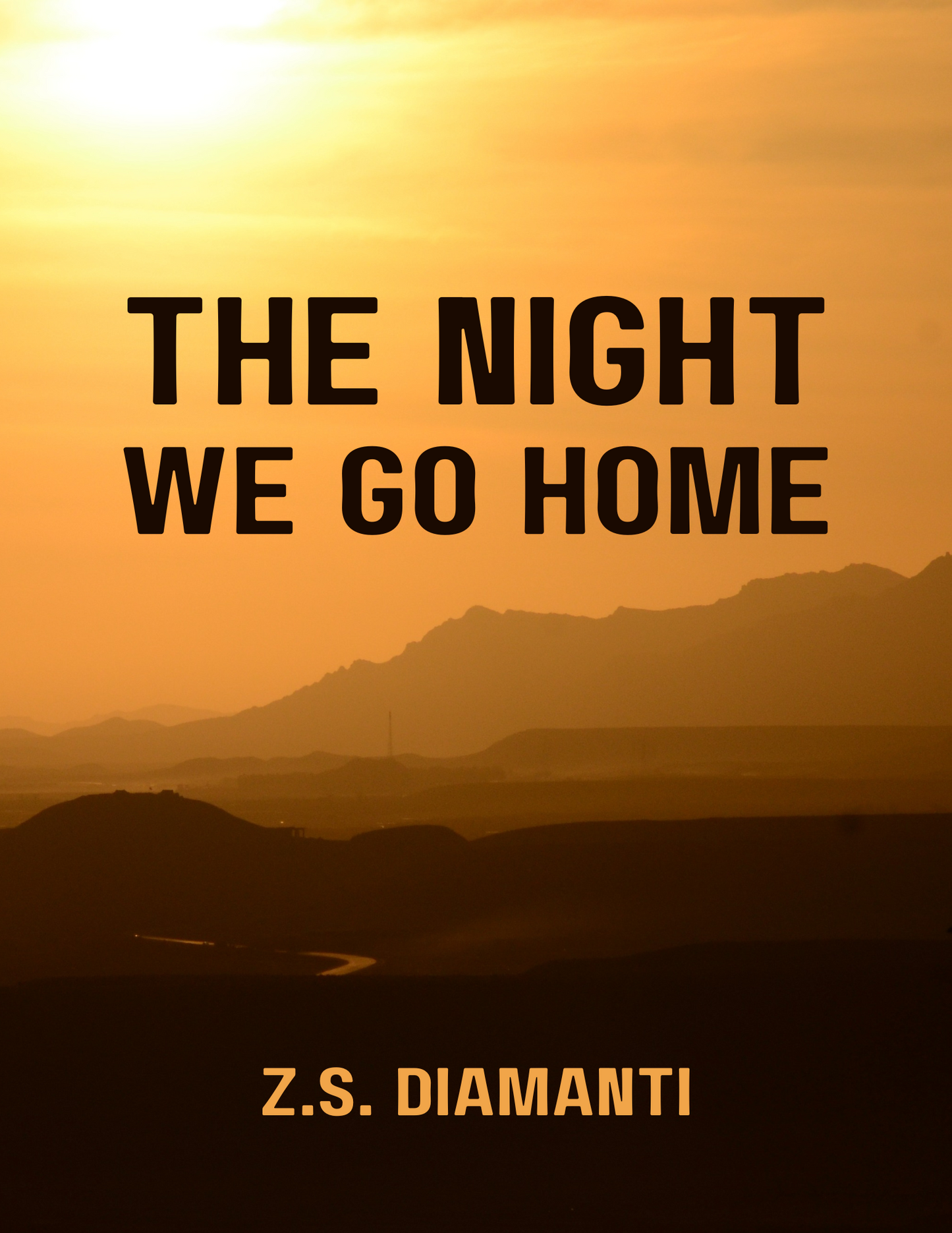 The Night We Go Home